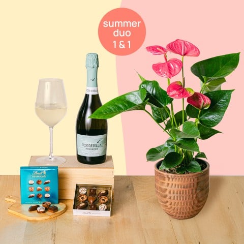 Doppelte Überraschung: Anthurium und Sekt