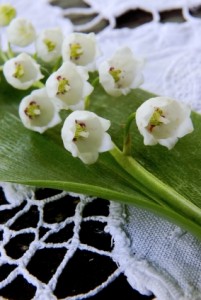 The Lily of the valley1 FloraQueen EN Birth Flowers