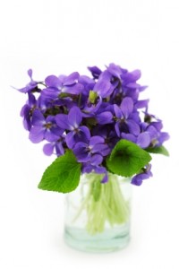 The Violet1 FloraQueen EN Birth Flowers