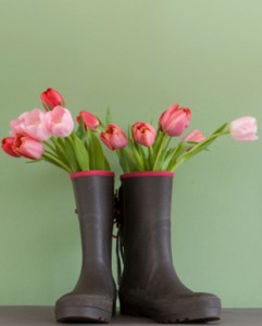 Tulips FloraQueen EN Tulips- the harbingers of spring.