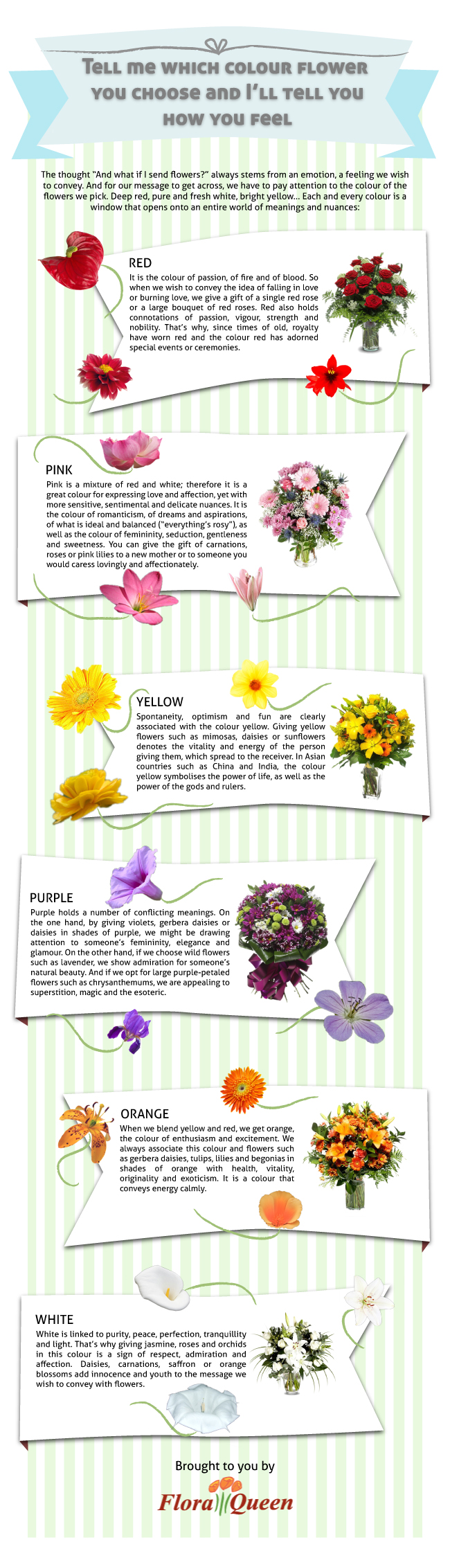 Flowers colors and their meaning COM FloraQueen If you have something to say, say it with colours!