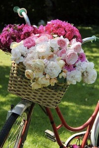 bici con flores FloraQueen Enrich your life with summer flowers