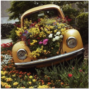 car-flower1