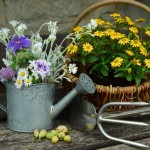 Health Benefits Gardening