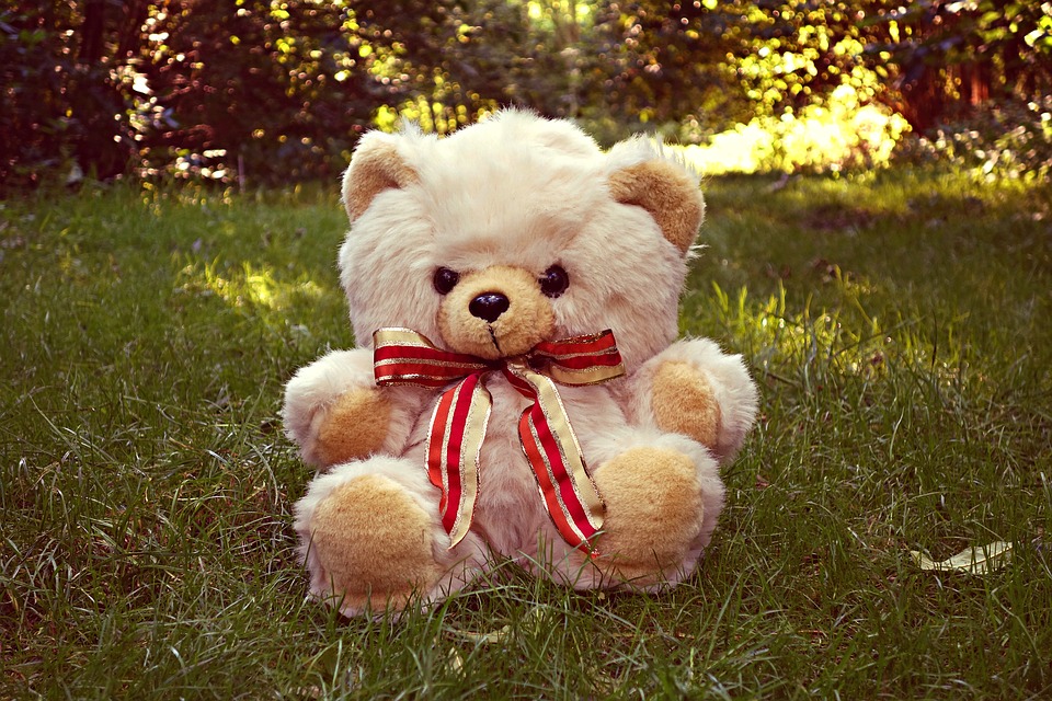 teddy-bear-1619894_960_720