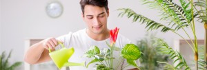 shutterstock 551898298 FloraQueen EN What are the 5 best flowers to give to men?