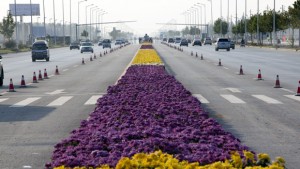dünya rekoru en büyük çiçek halısı