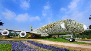 world record plane flowers