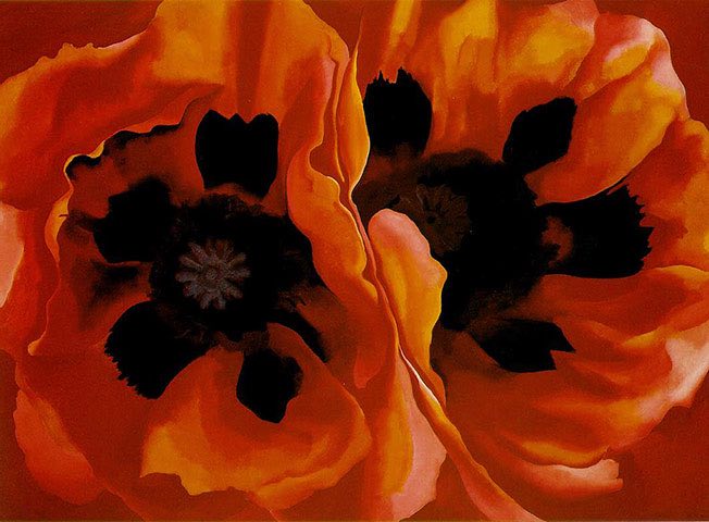best flower paintings poppies