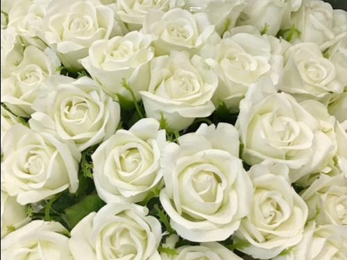 send flowers to germany white roses