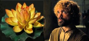 Tyrion Lotus Flower