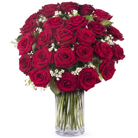 For My Inspiration: 24 Red Roses