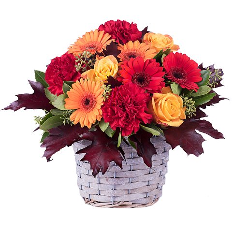 Autumn in New-York: Gerberas and Carnations