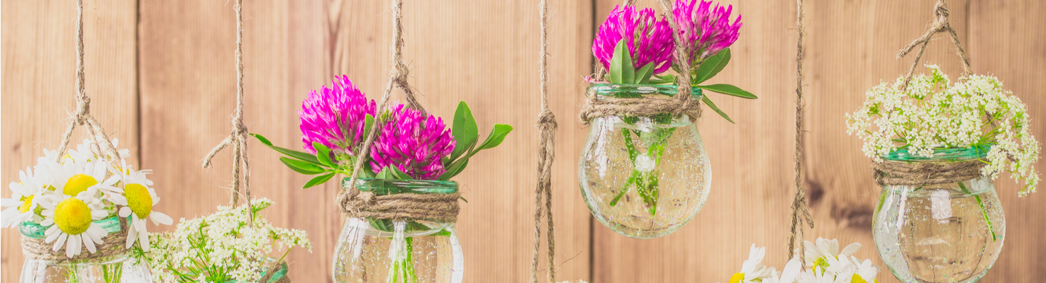 Flowers hanging in glass jars
