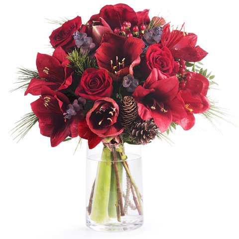 Red amaryllis and roses with seasonal pine decorations