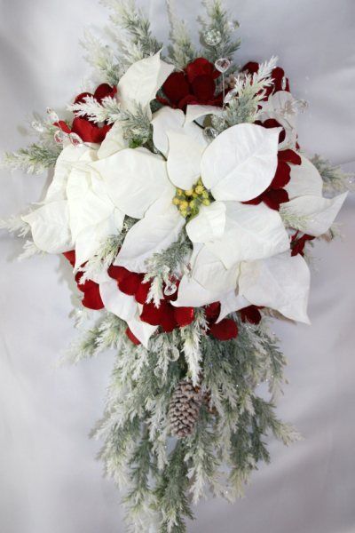 Christmas Bouquet of pine and mixed colour poinsettia 