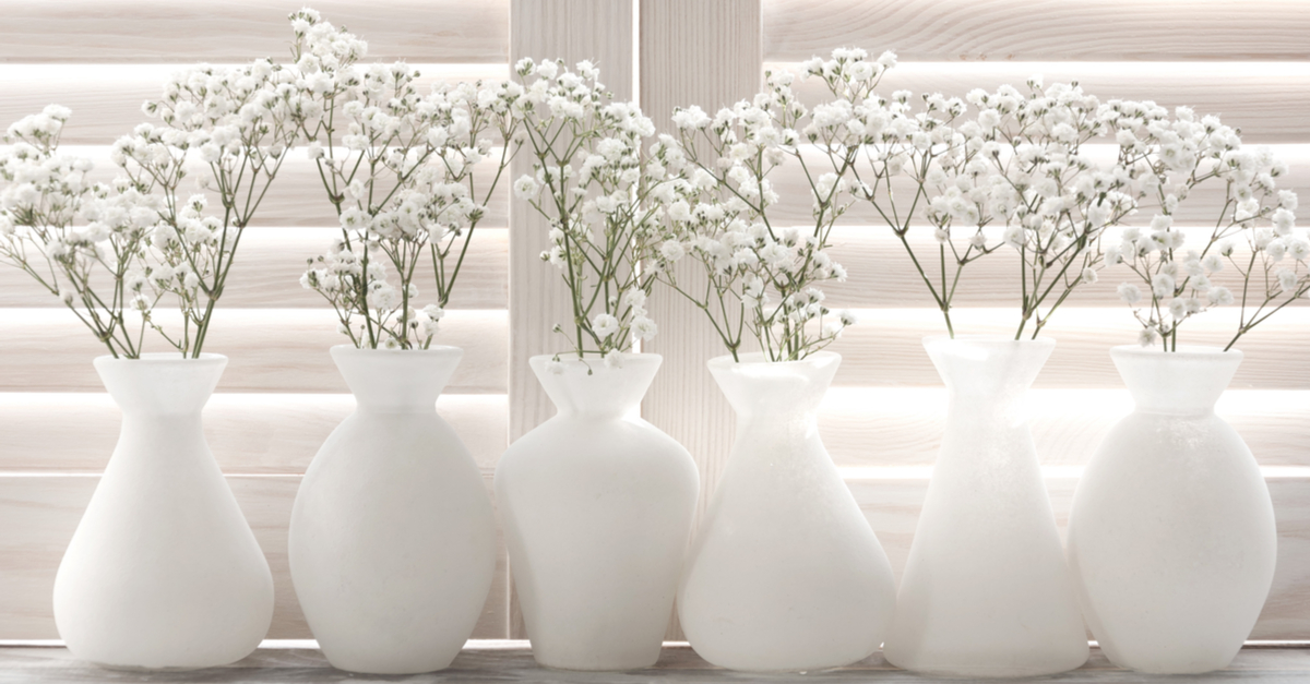 White flowers in white vase with white shutters