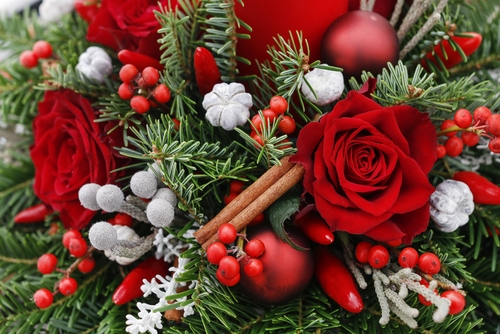 Red and green Christmas flowers with berries and pine 