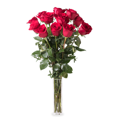 12 long stemmed red roses in a vase