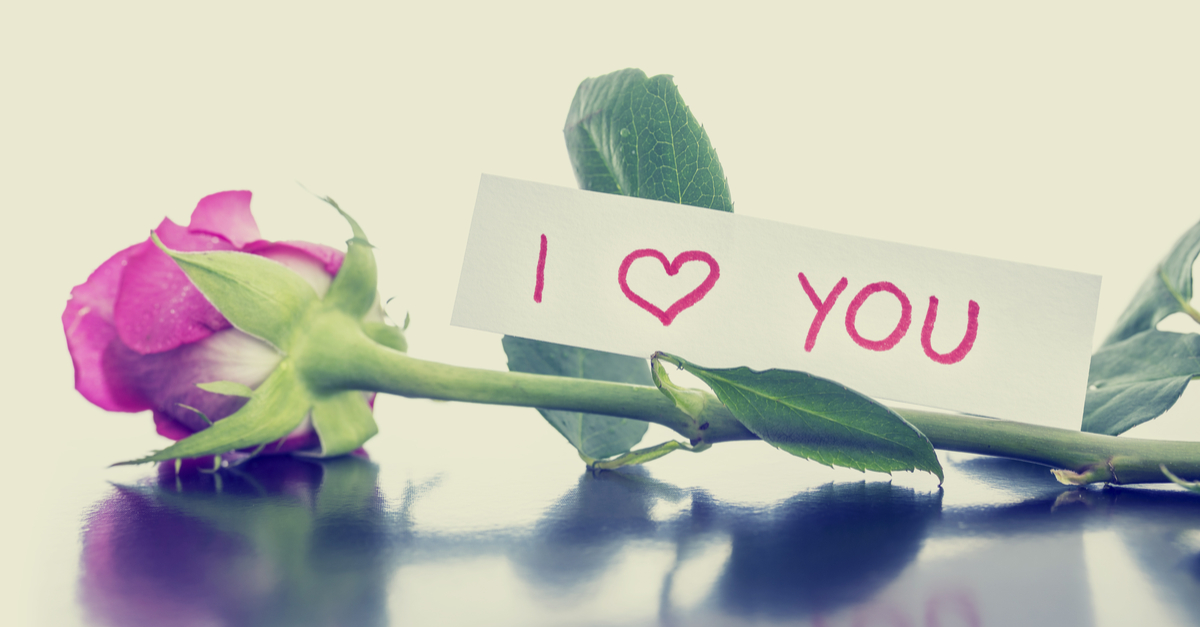 Single rose with I love you message