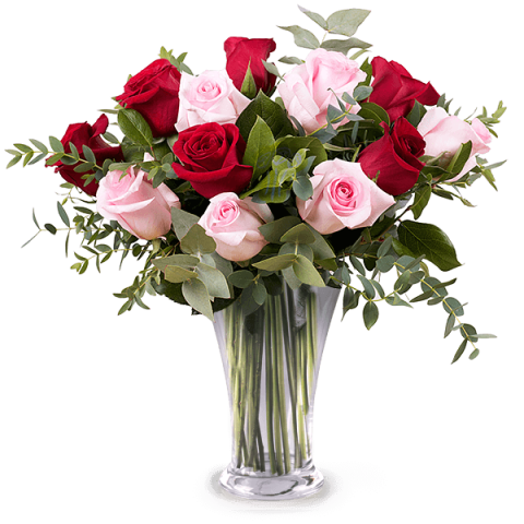 red and pink rose bouquet in vase
