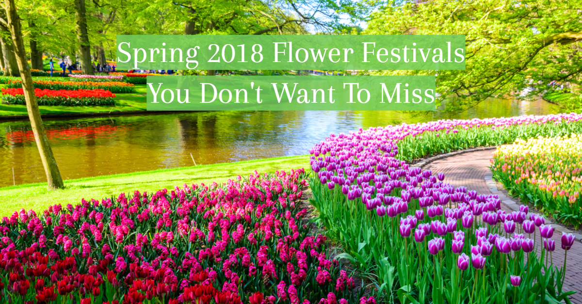 Spring flower festivals title card