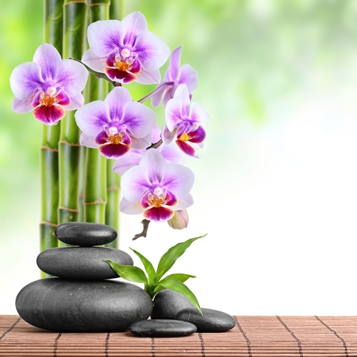 Orchid zen arrangement