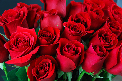 shutterstock 368490641 ¿Los significados de las flores rojas van más allá del amor y la pasión? 2