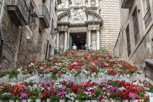 Girona flower carpet cathedral