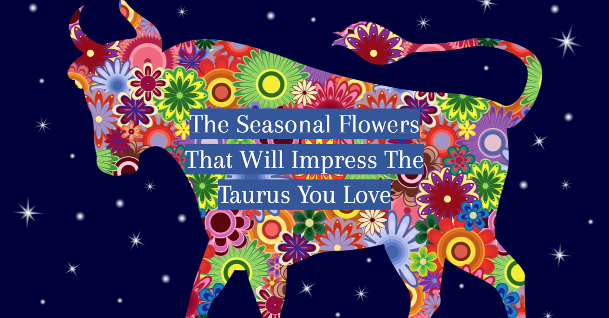 Taurus Flowers Title Card