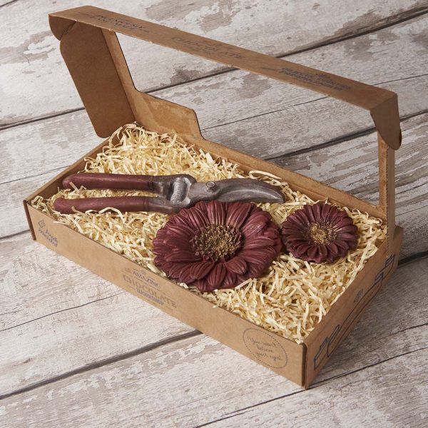 Gerberas and cutters made of chocolate in box