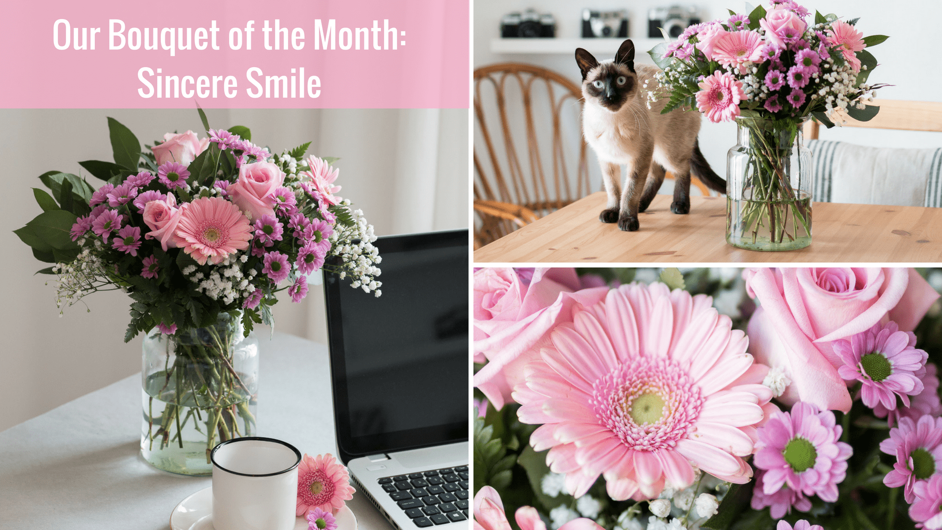 Our Bouquet of the Month Sincere Smile min FloraQueen EN Our Bouquet of the Month: Sincere Smile