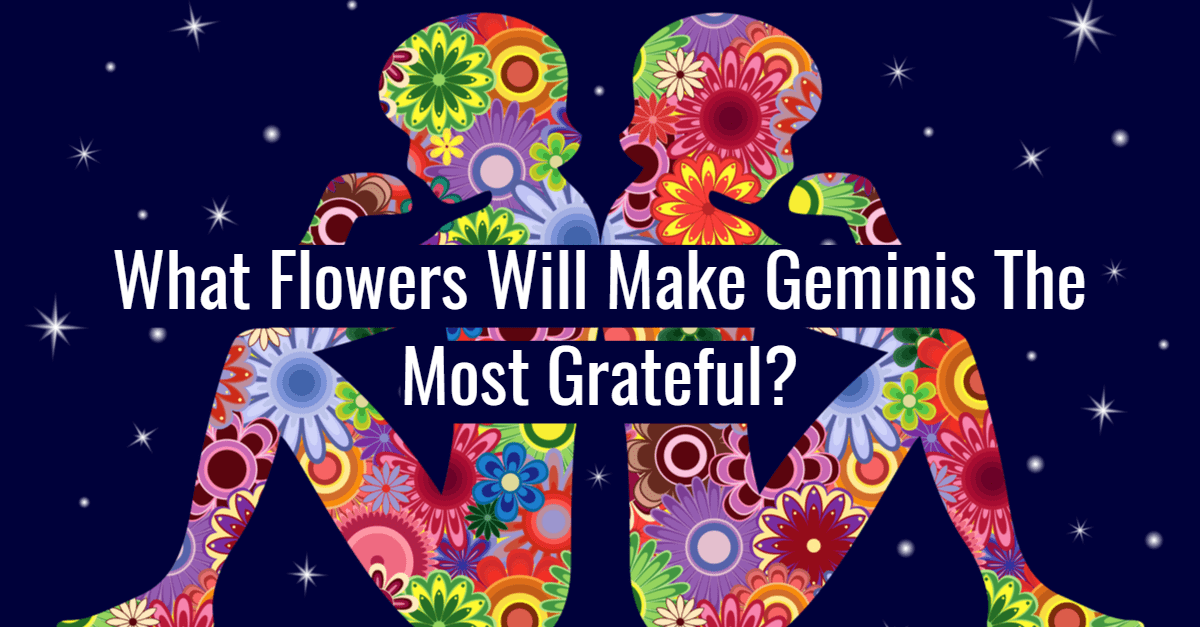 gemini flowers title card