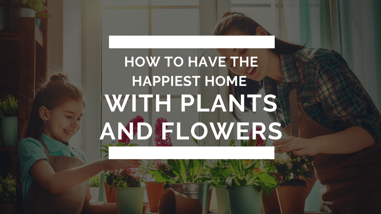 happy home with plants and flowers title card