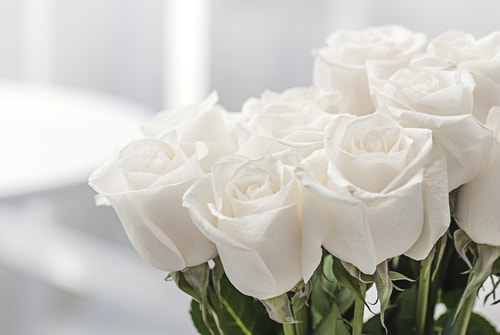 White roses in focus