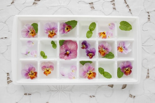 Cubitos de hielo con flores