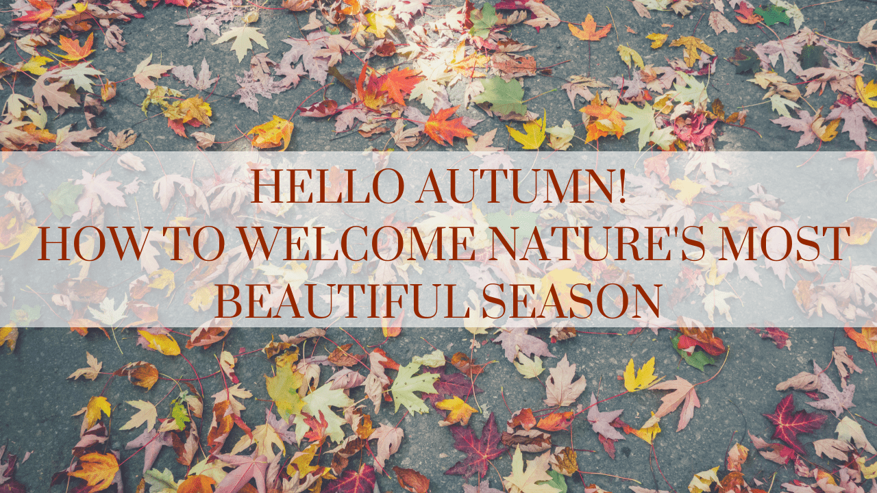 hello autumn title card