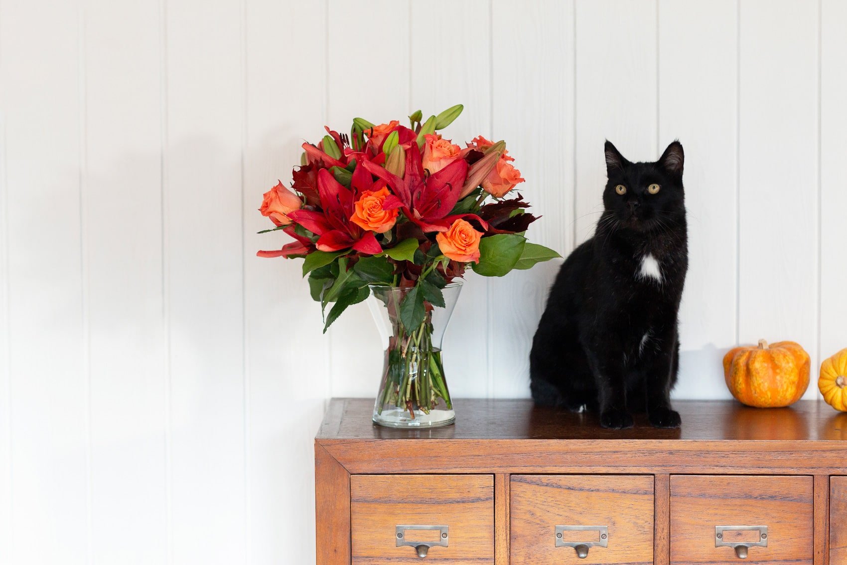 autumnal splendour bouquet and black cat