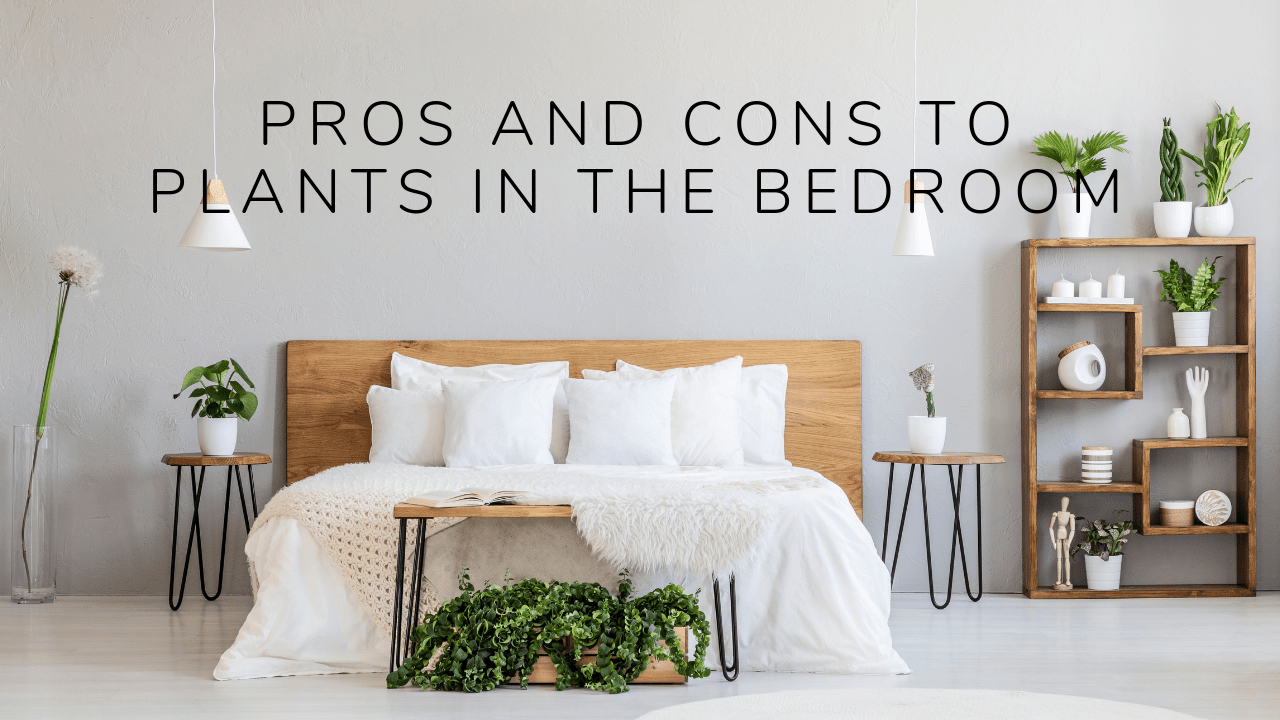 Plants in bedroom title