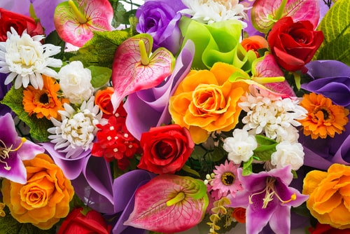 mix of colourful flowers