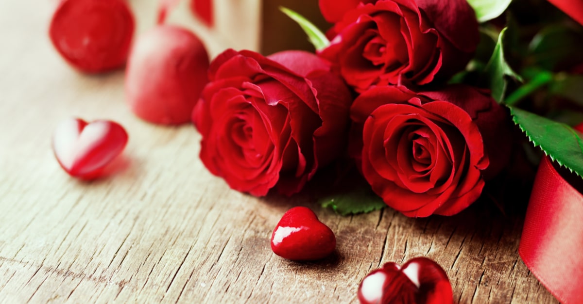 red roses and hearts