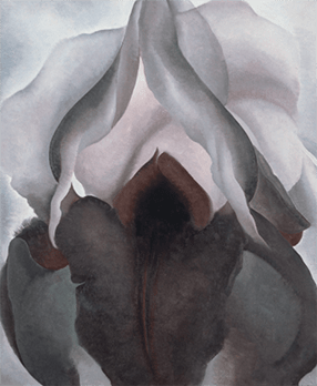 Black iris georgia o keeffe