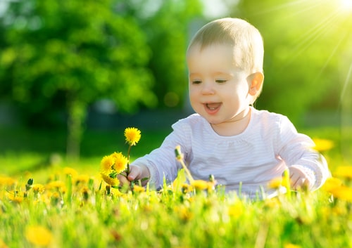 baby smiling in yellow field of flowers