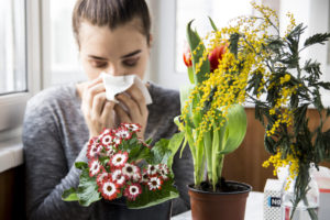 shutterstock 599841923 FloraQueen EN The Best Flowers for Allergy Sufferers