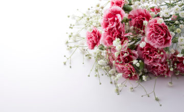 shutterstock 1024363117 FloraQueen How to Express Love Using Carnations Instead of Words