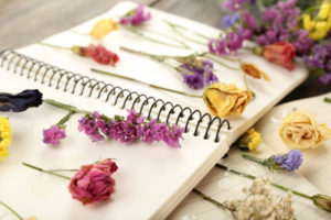 shutterstock 215000410 FloraQueen How to Dry Flowers: Keep Your Beloved Bouquet Longer