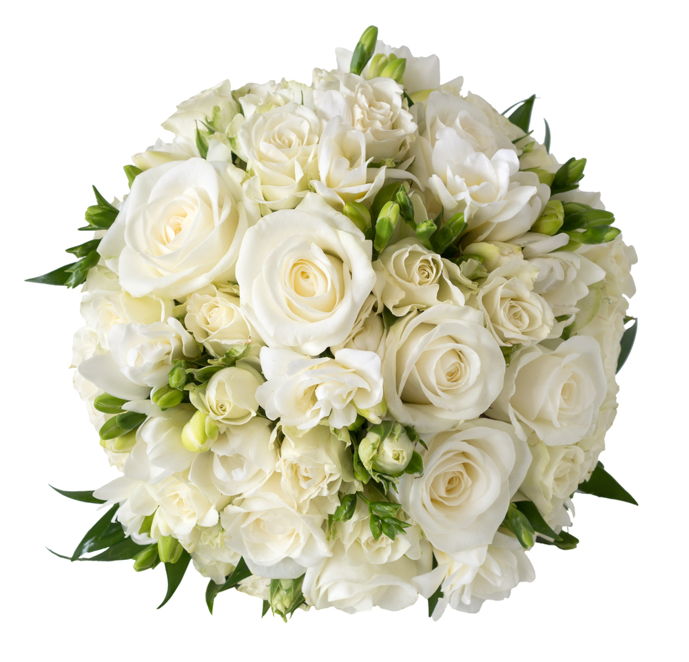 shutterstock 313032455 FloraQueen EN White Roses Delivery