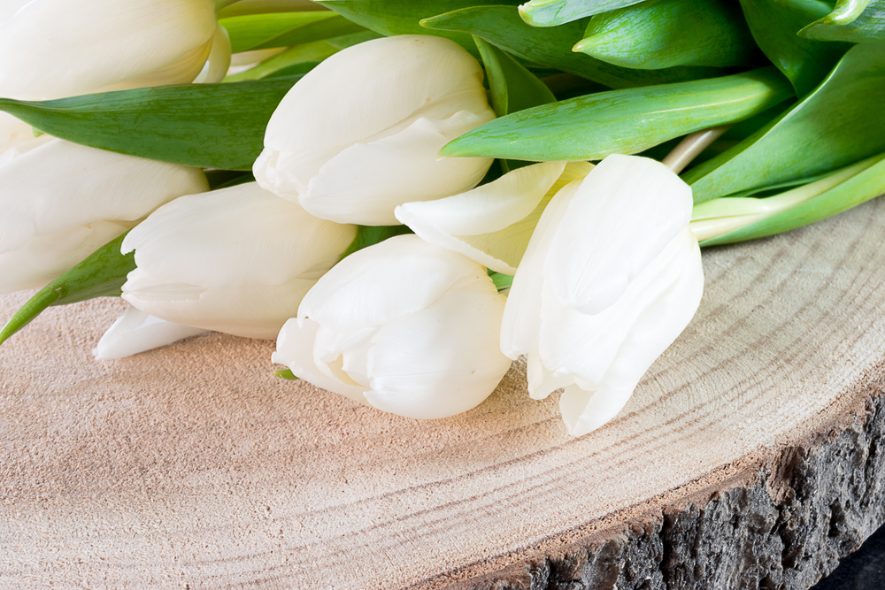 Tips For Sending Condolence Flowers » FloraQueen EN