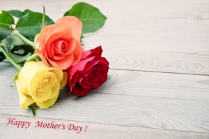 shutterstock 387504772 FloraQueen EN How to Pick the Best Mother’s Day Roses