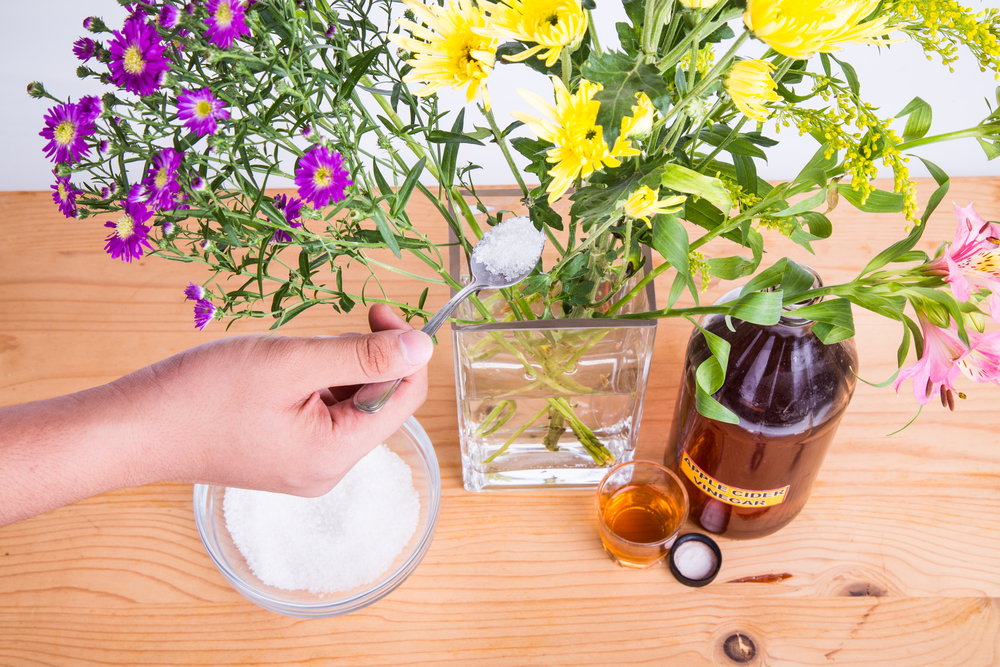 shutterstock 401232574 FloraQueen How to Keep Cut Flowers Fresh: A Guide for Making them Last Longer